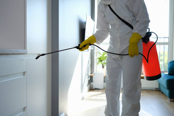 Office Mold Removal Services in Gunbarrel, CO