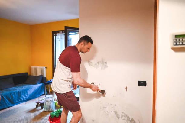 Best Residential Mold Removal  in Gunbarrel, CO